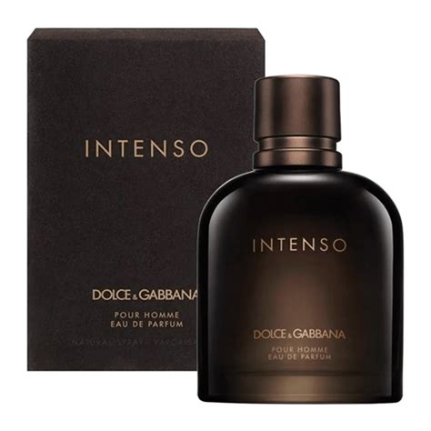 perfume intenso dolce gabbana masculino|perfume Dolce & Gabbana pour homme.